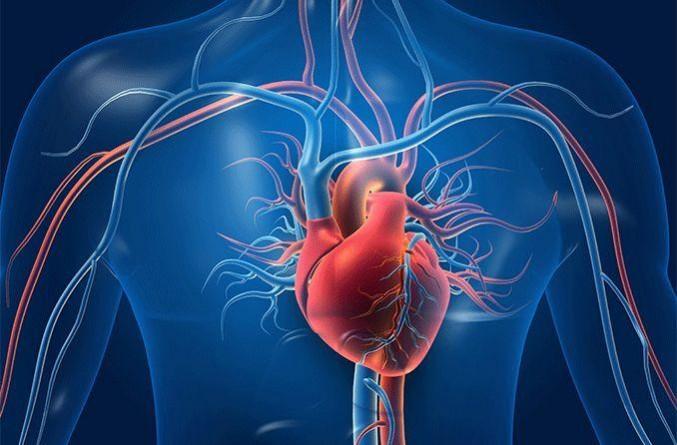 Simple blood test can predict 30-year heart disease risks for women Simple blood test can predict 30-year heart disease risks for women