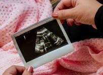 MP govt increases insurance limit for surrogacy up to Rs 10 lakh