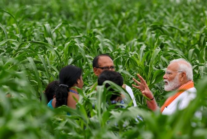 Centre to create Aadhaar-like digital IDs for 11 crore farmers by FY27