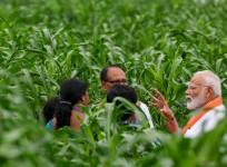 Centre to create Aadhaar-like digital IDs for 11 crore farmers by FY27