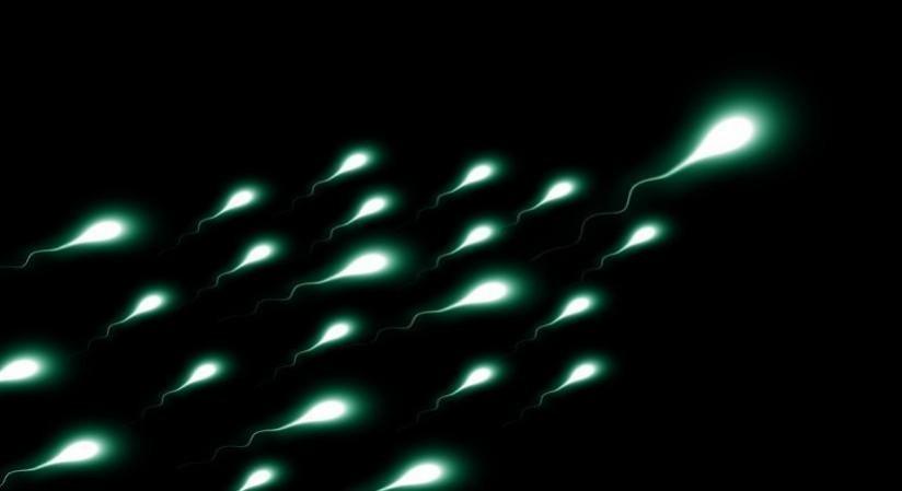 Exposure to high PM2.5 levels for 5 years increases infertility risk infertility in men