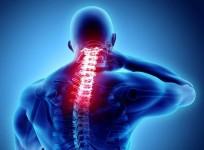Spinal cord injuries have become more common than ever, say experts