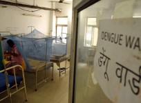 Dengue cases surge in Bihar, 55 reported in last 24 hours