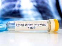 RSV vax beneficial, cost-effective in elderly with health conditions: Study