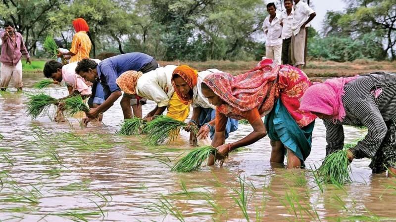 India sees healthy 8 pc increase in overall rainfall, positive for inflation outlook