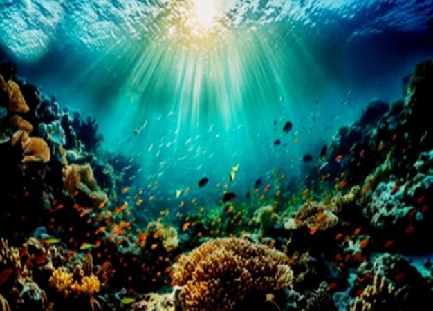 India has signed the Biodiversity Beyond National Jurisdiction (BBNJ) agreement, aimed at protecting marine biodiversity