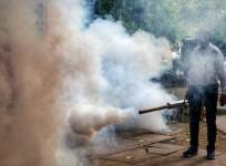 Delhi doctors report uptick in dengue, chikungunya, swine flu cases
