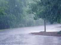 Kerala: Yellow alert in 6 districts; rain, thunderstorm till October 11