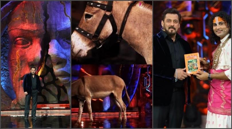Bigg Boss 18 grand premier: Will a donkey live with contestants in Salman Khan Show? Here's the truth Bigg Boss 18 grand premier: Will a donkey live with contestants in Salman Khan Show? Here's the truth