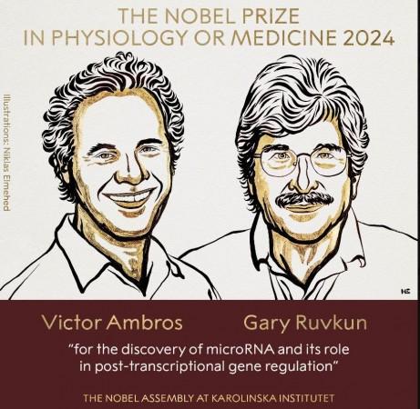 US scientists awarded 2024 Nobel Prize in Medicine for microRNA discovery US scientists awarded 2024 Nobel Prize in Medicine for microRNA discovery