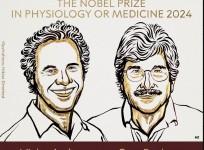 US scientists awarded 2024 Nobel Prize in Medicine for microRNA discovery