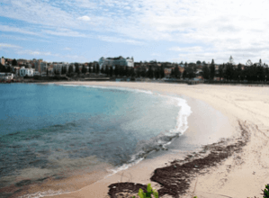 All Sydney beaches reopened following tar ball pollution All Sydney beaches reopened following tar ball pollution