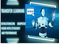 Transfer Learning