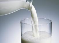 Milk adulteration racket uncovered in Gujarat's Amreli; one held with fake products