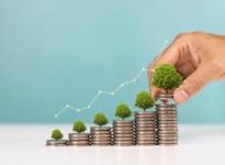 mutual funds