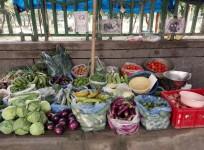 Vegetable prices sky-high in Bengal's retail markets ahead of Diwali