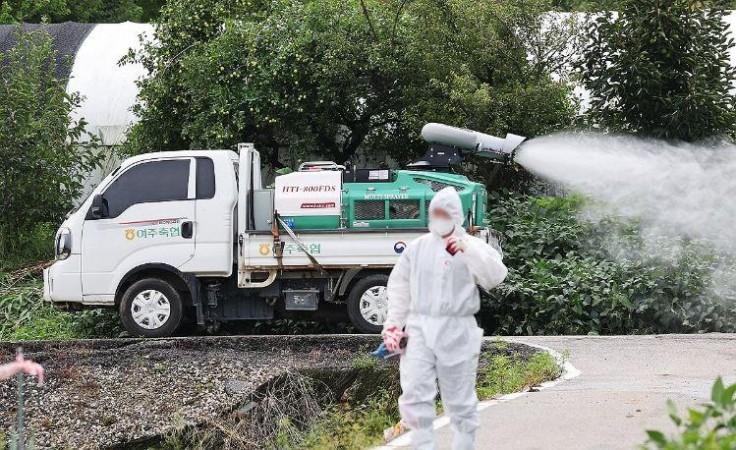 Lumpy skin disease cases grow in South Korea Lumpy skin disease cases grow in South Korea