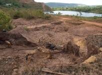 Norway allocates 22 million USD to support Colombia's fight against deforestation