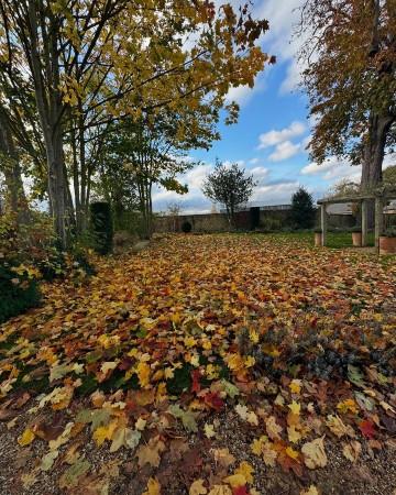 Priyanka shares a beautiful picture of London in autumn. priyanka-london