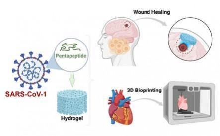 Indian scientists develop method to create hydrogels to boost drug delivery Indian scientists develop method to create hydrogels to boost drug delivery