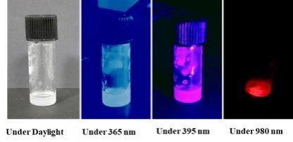 INST scientists develop anti-counterfeiting ink