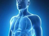 Most people unaware obesity can raise 20pc lifetime risk of pancreatic cancer: Study