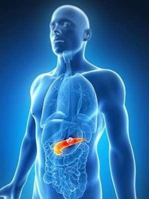 Most people unaware obesity can raise 20pc lifetime risk of pancreatic cancer: Study Most people unaware obesity can raise 20pc lifetime risk of pancreatic cancer: Study