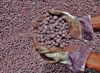 India clocks robust growth in key mineral production in FY25 first half
