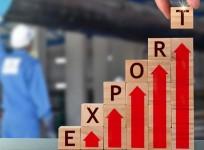 India's goods exports to top countries record double-digit surge