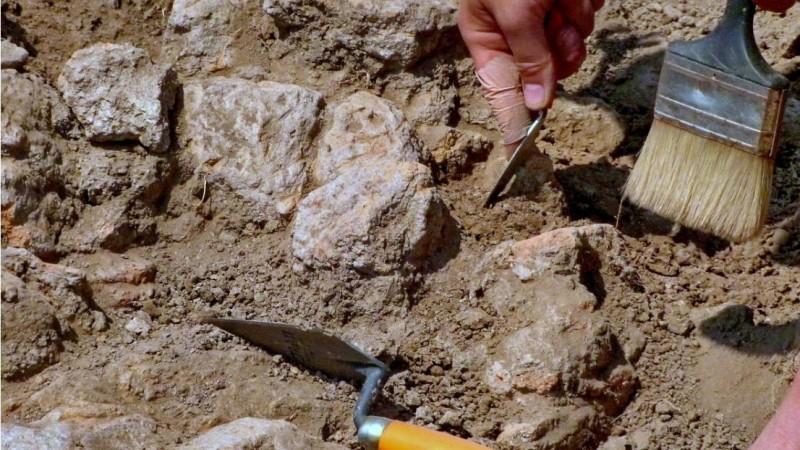 Tamil Nadu State Department of Archaeology Ancient terracotta lamp unearthed in Tamil Nadu's Vembakottai, skp