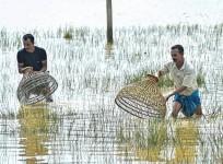 FINANCE MINISTRY TELLS BANKS TO GIVE MORE LOANS FOR AGRI-ALLIED ACTIVITIES