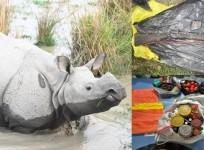 Assam: 4 rhino poachers arrested in Darrang; arms, ammunition recovered