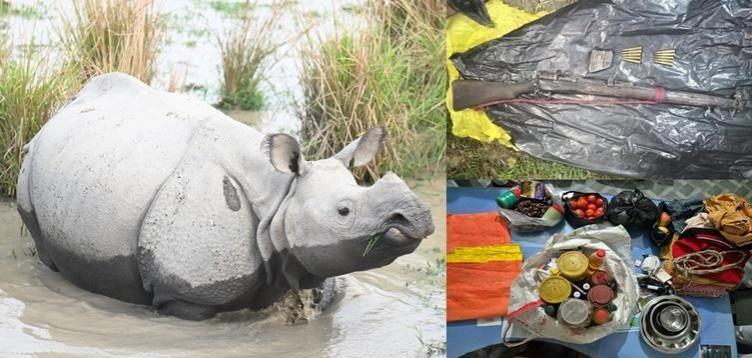 Assam: 4 rhino poachers arrested in Darrang; arms, ammunition recovered Assam: 4 rhino poachers arrested in Darrang; arms, ammunition recovered