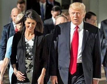 Trump shuts out Haley, but Ramaswamy may get senior role in new admin Trump shuts out Haley, but Ramaswamy may get senior role in new admin