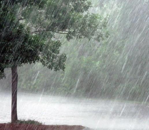 Heavy rains in Tamil Nadu