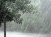 Heavy rains in Tamil Nadu: Health department warns of surge in viral diseases and fevers