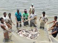 Centre to hold investors' meet in Andaman for big push to fisheries sector