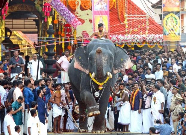 If jumbo guidelines are implemented, temple festivals will not happen as before: Kerala Minister 'Justice for jumbos': Kerala HC comes to the aid of elephants, issues strict guidelines
