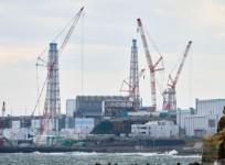 Egypt seeks to complete 1st nuclear power plant as scheduled: PM Madbouly