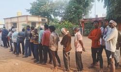 Maharashtra records 32.18 pc voting with bright spot Gadchiroli at over 50 pc
