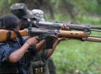 Seven Maoists killed in encounter with police in Telangana