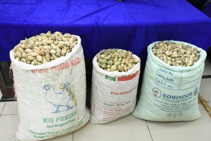 Truck with over 200 kg poppy straw seized in J&K's Udhampur