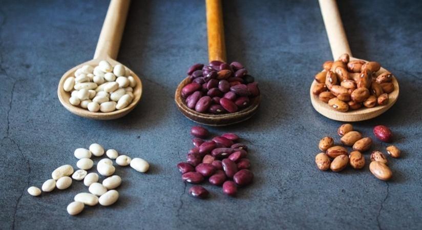 Increased intake of plant protein to boost your heart health Increased intake of plant protein to boost your heart health