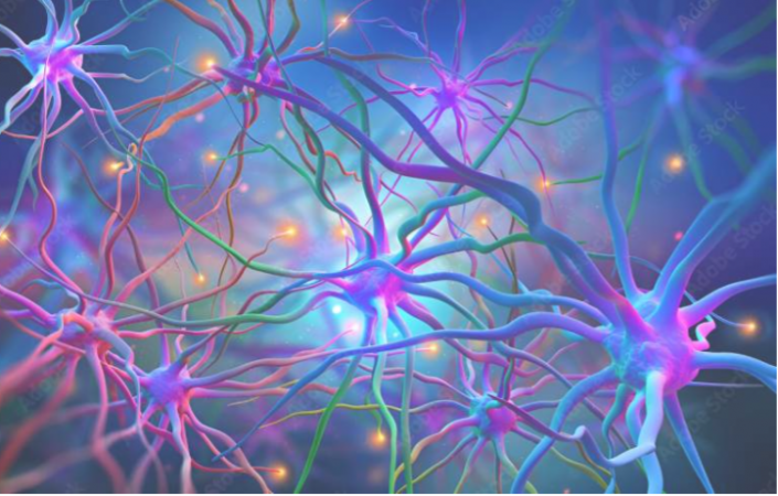 Scientists develop new methods to detect Huntington's disease progression Scientists develop new methods to detect Huntington's disease progression