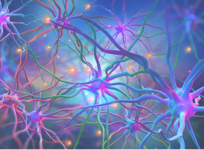 Scientists develop new methods to detect Huntington's disease progression
