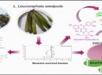 Medicinal plant Subabul may aid in diabetes control: IASST study