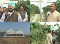 Polyhouse farming transforms farmers' lives in J&K's Samba