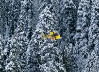 Fresh snowfall in mountains, chilly winds lash J&K