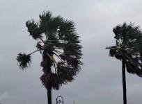 Impact of cyclone 'Dana' on Jharkhand: Heavy rains, schools closed in Kolhan division