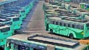 TN to run 10,109 buses for Karthigai Deepam festival TN to run 10,109 buses for Karthigai Deepam festival